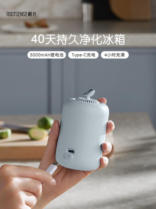 根元灯笼冰箱除味器除臭去味净化臭氧消毒杀菌冰箱保鲜神器长续航，冰箱伴侣，下单请备注颜色（雾蓝色，云灰色） 商品图2