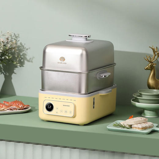 大宇（DAEWOO） 家用多功能电蒸锅大容量双层不锈钢蒸炖可预约保温蒸锅DYZG-1568 商品图0