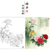 【大彩图】李晓明工笔画白描底稿《南国相思》牡丹临摹勾线花鸟线稿K030 商品缩略图0