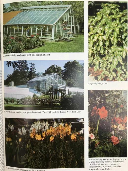 纽约植物园图解园艺百科全书（卷5） 数百幅插图 精装大16开 商品图8