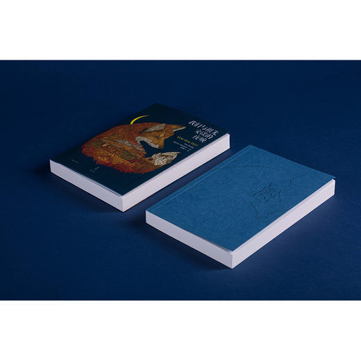 我们与祖先交谈的夜晚 商品图3