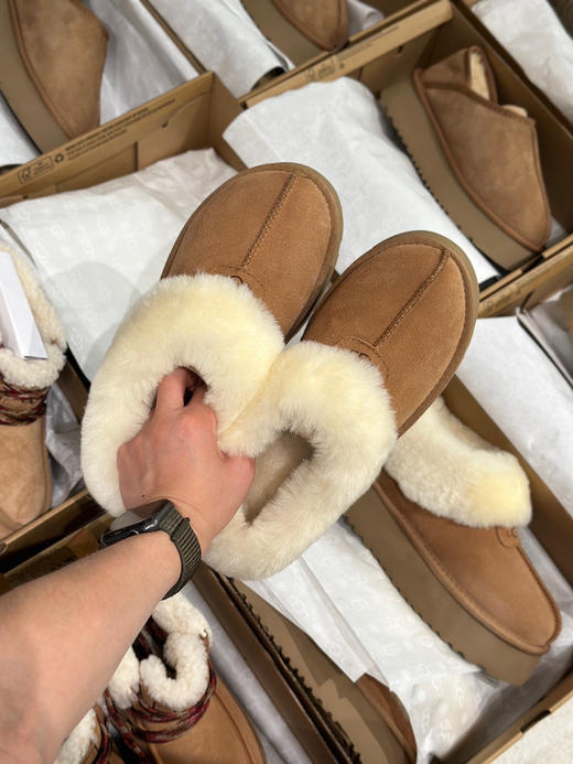 发货实拍📦
268🉐️
厚底塔茨特 栗色 商品图3