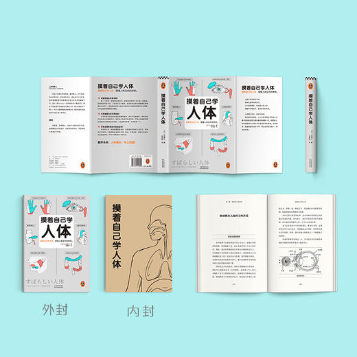 读客摸着自己学人体 摸懂人体运作的神奇 山本健人 人体奥秘 医学 商品图6