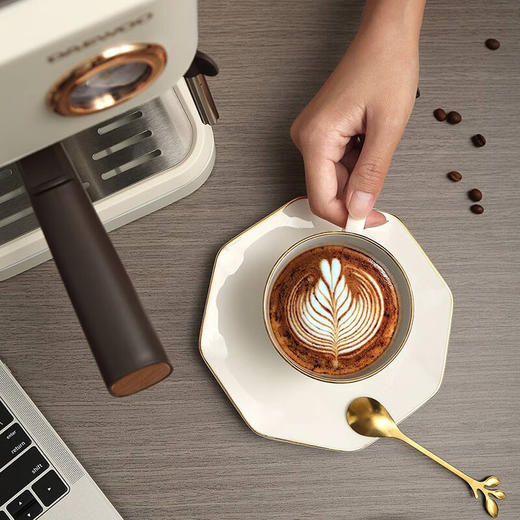 大宇（DAEWOO） 意式家用办公室半自动可打奶泡压力咖啡机 DYKF-1233 商品图7