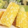 甜玉米（个） 商品缩略图2