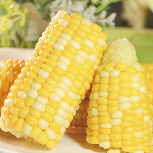 甜玉米（个） 商品图2