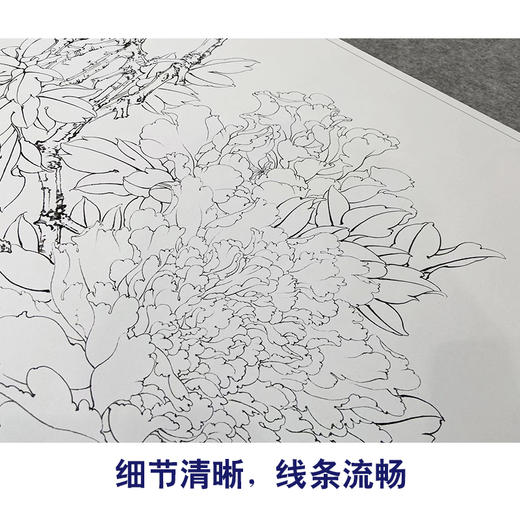 【大彩图】李晓明工笔画白描底稿《倚红偎翠》牡丹临摹勾线花鸟线稿K036 商品图4