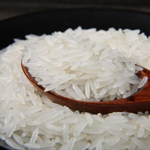 散金元宝优质丝苗米（约500g/份） 商品图0