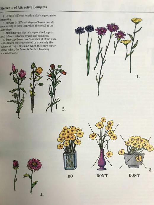 园艺宝典 数百幅彩色插图 精装16开 商品图10