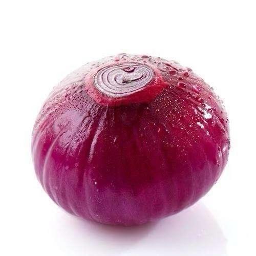 【生鲜预定】紫皮洋葱 商品图1