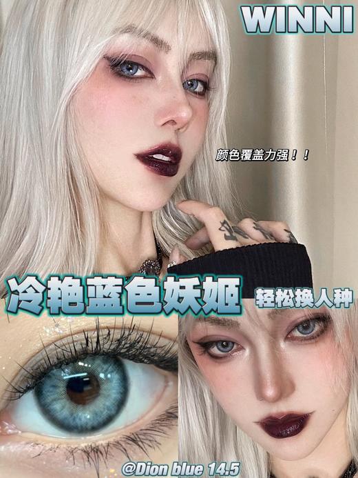 Winni Dion Blue【半年抛】 商品图2