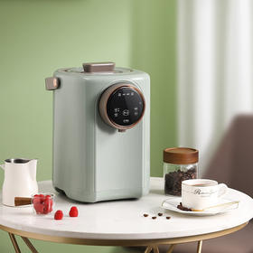 大宇（DAEWOO）家用热水壶多段保温3L容量电热开水瓶DYSP-3018 菲斯绿