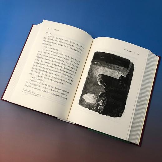 巴黎圣母院（插图珍藏版） 商品图1