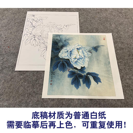 【大彩图】李晓明工笔画白描底稿小品《昆山夜光》牡丹临摹勾线花鸟线稿K038 商品图3