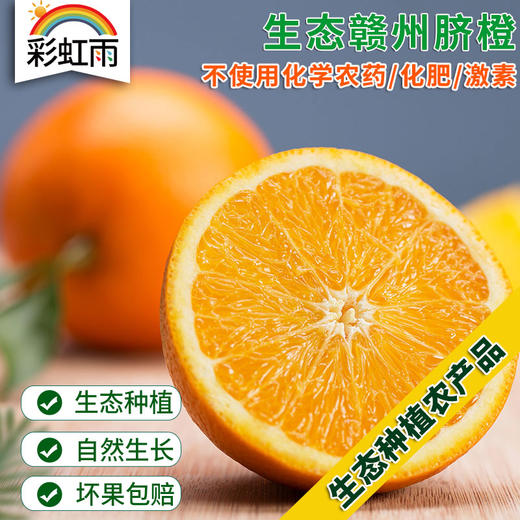 赣州脐橙生态水果赣南脐橙450g，甜蜜多汁 商品图0