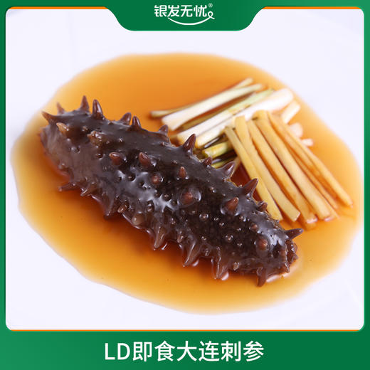 LD即食大连刺参 500G/袋（10-12头） 商品图0