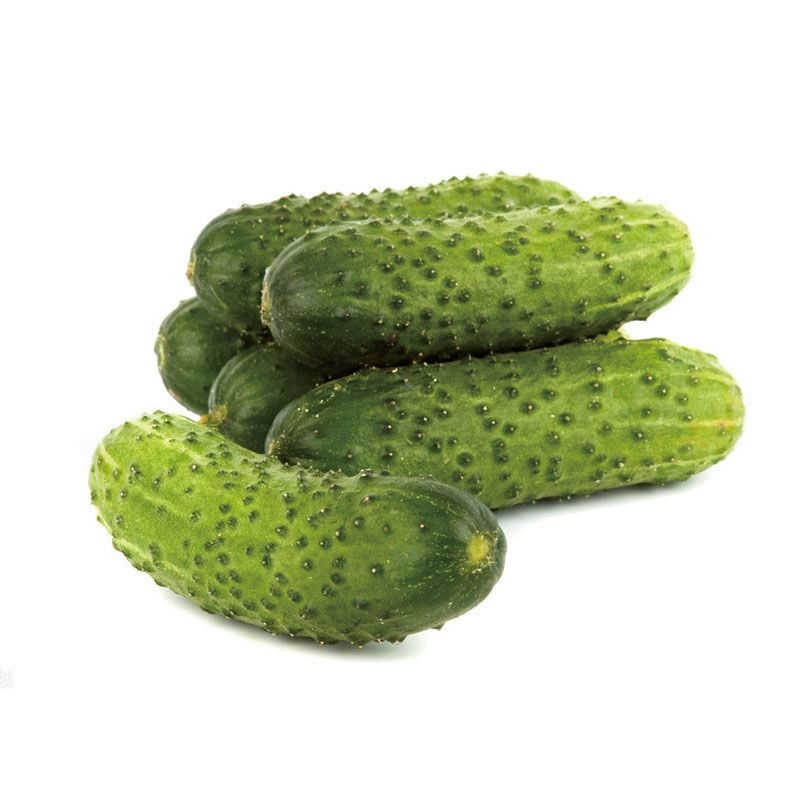 白黄瓜约0.9~1.1kg/份