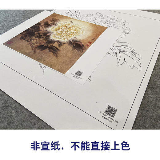 【大彩图】李晓明工笔画白描底稿斗方小品《春花秋韵》牡丹临摹勾线花鸟线稿K039 商品图2