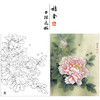 【大彩图】李晓明工笔画白描底稿《观音面》牡丹临摹勾线花鸟线稿K029 商品缩略图0