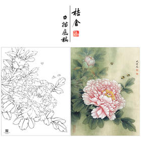 【大彩图】李晓明工笔画白描底稿《观音面》牡丹临摹勾线花鸟线稿K029