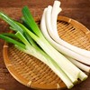 【生鲜预定】大弯葱 商品缩略图1