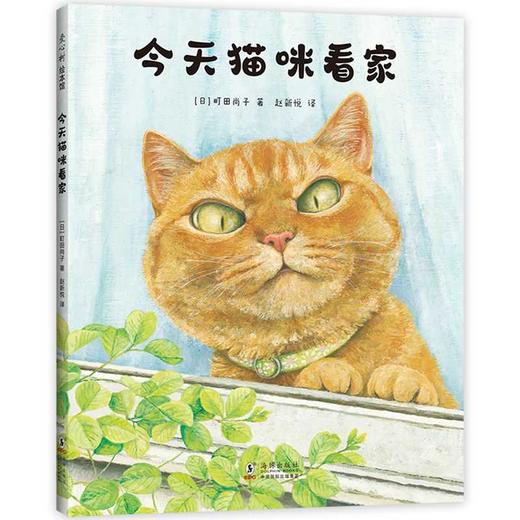 今天猫咪看家 商品图0