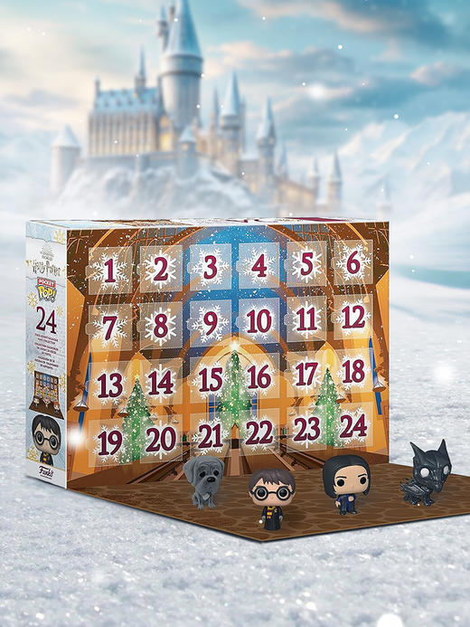 Funko POP Advent Calendar Harry Potter 2021圣诞日历 哈利波特2021手办 59167 商品图1