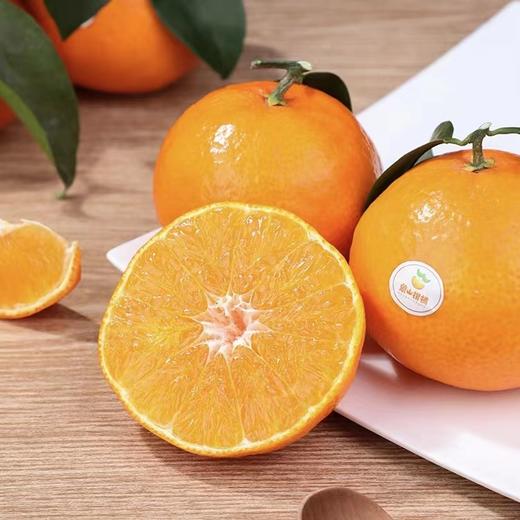 美人橙 商品图0