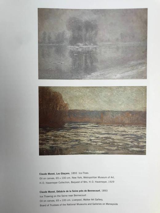 莫奈与现代主义 161幅彩色64幅黑白插图 精装大16开 商品图13