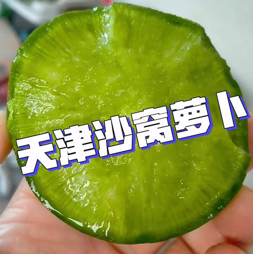 “沙窝的萝卜-赛鸭梨”
“沙窝的萝卜-嘎嘣脆”
这是天津人常说的两句歇后语。
沙窝青萝卜是天津萝卜的代表，主要是绿如翡翠，落地即碎，生吃清脆，香甜爽口，食之健胃消食，清热解毒，顺气开胸。7斤/箱 商品图0