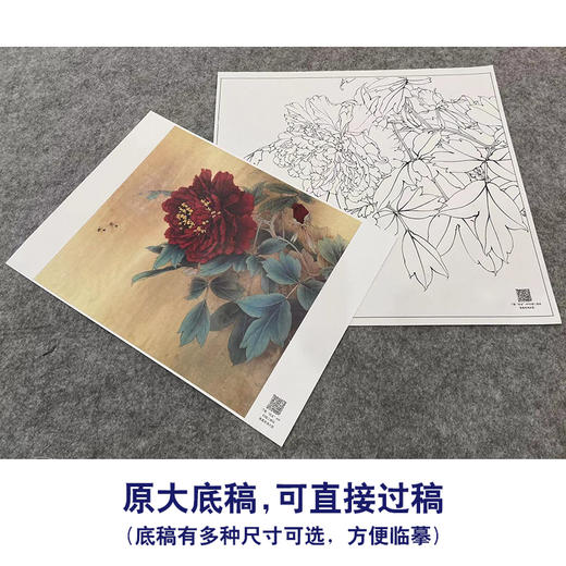 【大彩图】李晓明工笔白描底稿斗方小品《黑剪绒》牡丹临摹勾线花鸟线稿K035 商品图1