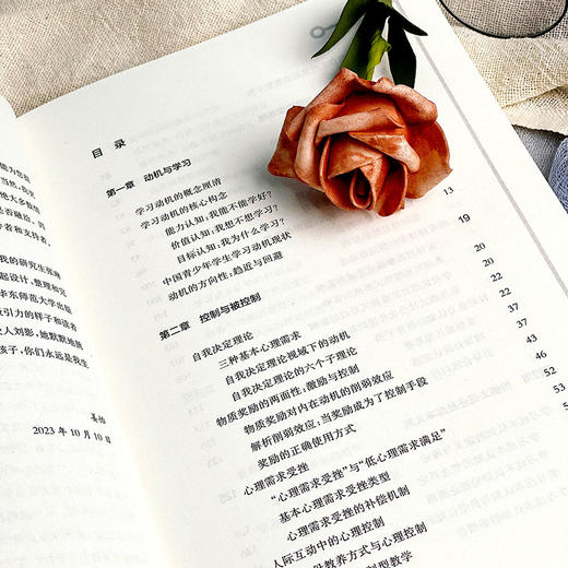 为什么孩子不爱学习 回避性动机与学生学习 姜怡著 商品图7