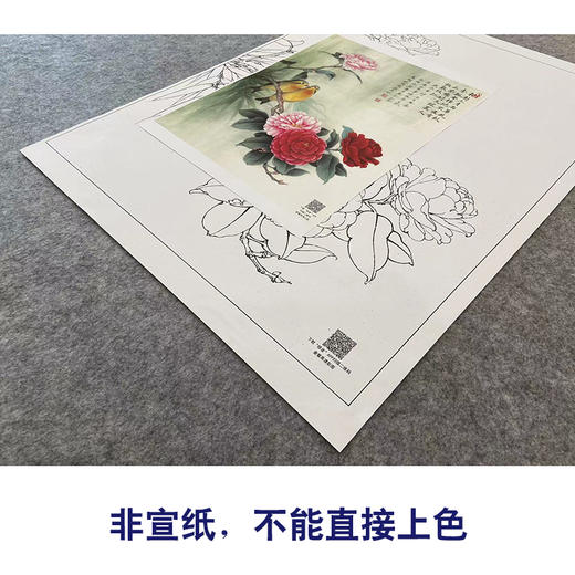 【大彩图】李晓明工笔画白描底稿《南国相思》牡丹临摹勾线花鸟线稿K030 商品图2