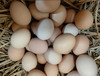 6枚9.9元 富硒土鸡蛋山中散养 10枚/30枚/50枚 商品缩略图0