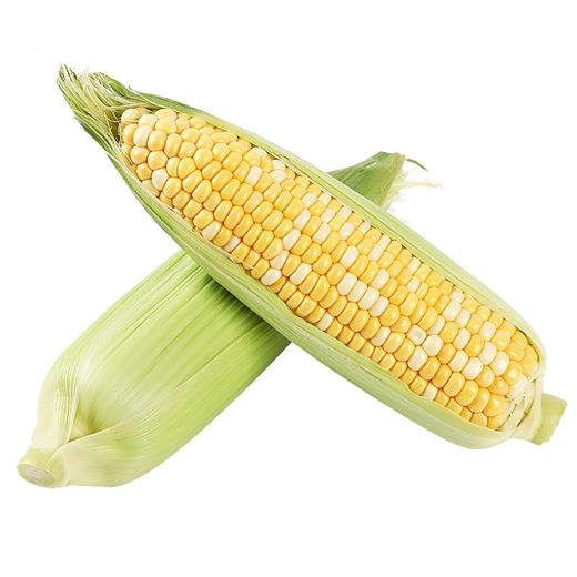 甜玉米（个） 商品图1