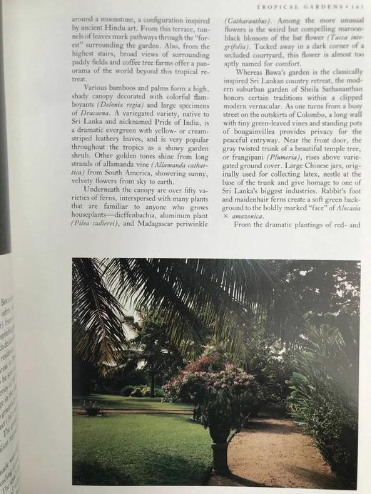 世界花园：园艺艺术与实践 约百幅彩色插图 精装16开 商品图14