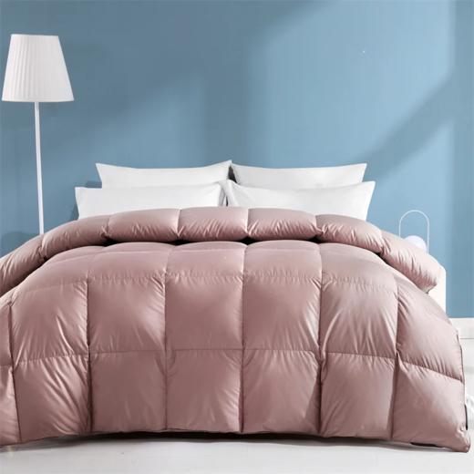 【填充90%/95%鸭绒】鸭绒被 商品图0