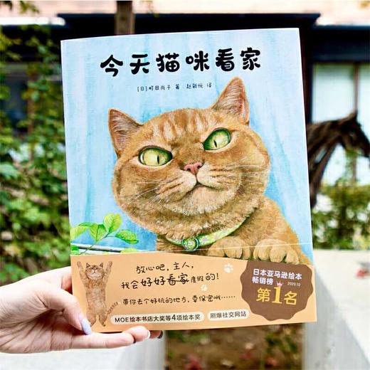 今天猫咪看家 商品图4