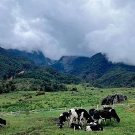 海洋 神山探索一日游 商品图2
