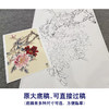 【大彩图】李晓明工笔画白描底稿《倚红偎翠》牡丹临摹勾线花鸟线稿K036 商品缩略图1