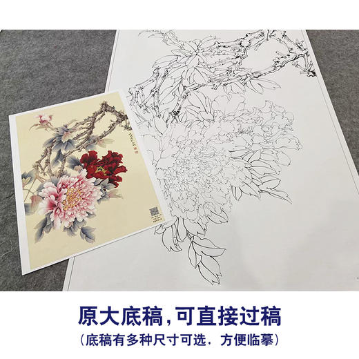 【大彩图】李晓明工笔画白描底稿《倚红偎翠》牡丹临摹勾线花鸟线稿K036 商品图1