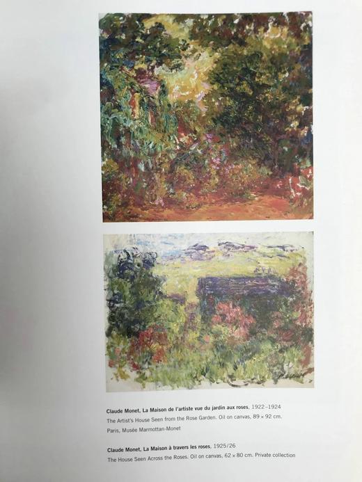 莫奈与现代主义 161幅彩色64幅黑白插图 精装大16开 商品图10