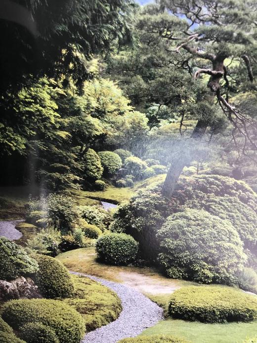 世界花园：园艺艺术与实践 约百幅彩色插图 精装16开 商品图9