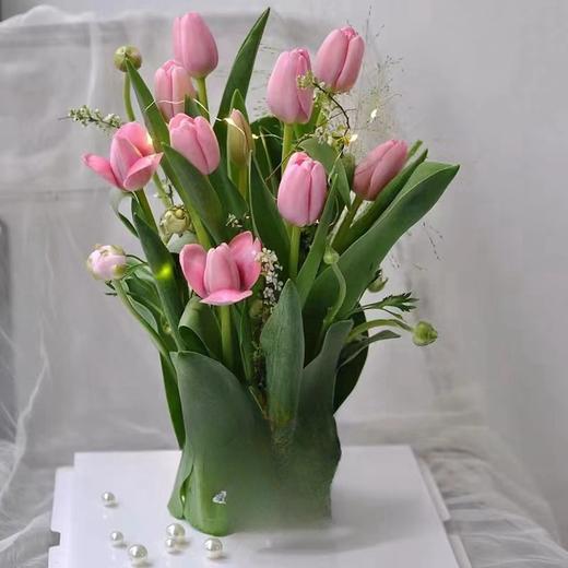 10支19支郁金香透明礼盒二选一 商品图5