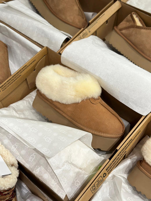 发货实拍📦
268🉐️
厚底塔茨特 栗色 商品图0