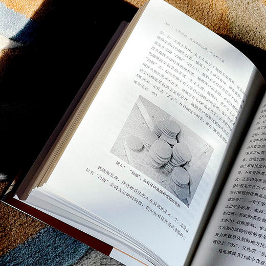 生熟有道：普洱茶的山林、市井和江湖 薄荷实验 张静红著 商品图13