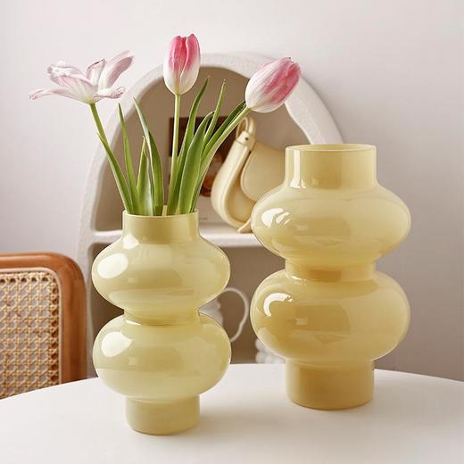 贝汉美ins玻璃花瓶摆件客厅透明插花高级感水养餐桌桌面花器 商品图0