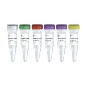 HiScript IV 1st Strand cDNA Synthesis Kit(+gDNA wiper)