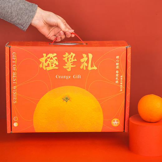 【三峡脐橙】湖北秭归脐橙橙挚礼12枚彩箱   产地现摘新鲜直达 商品图1