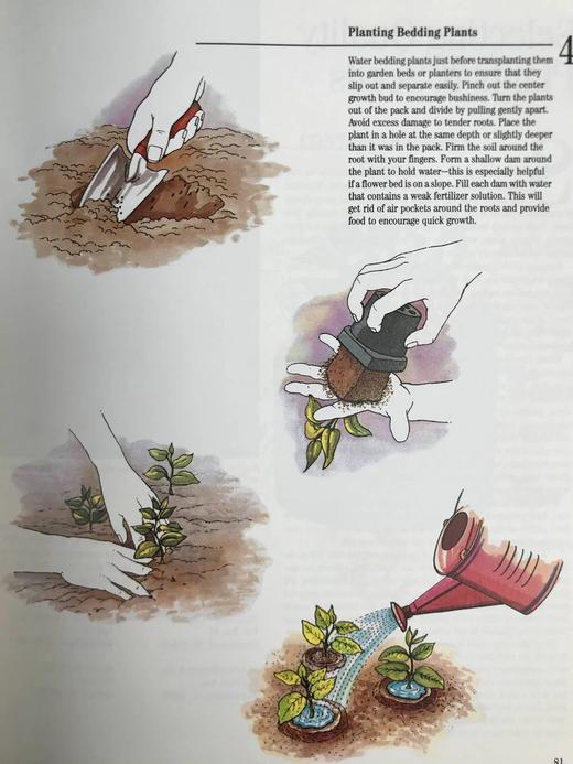 园艺宝典 数百幅彩色插图 精装16开 商品图12